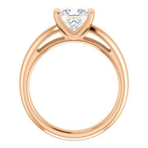 CZ Wedding Set, featuring The Liza Bella engagement ring (Customizable Princess Cut Cathedral Bar-set Solitaire) - Image 3