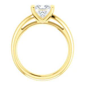 CZ Wedding Set, featuring The Liza Bella engagement ring (Customizable Princess Cut Cathedral Bar-set Solitaire) - Image 5