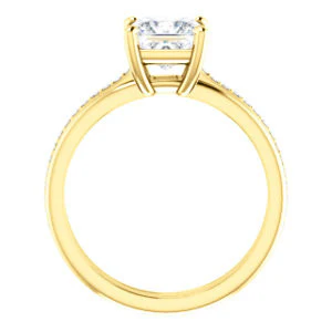 CZ Wedding Set, featuring The Rikki engagement ring (Customizable Princess Cut Design with Double-Grooved Pavé Band) - Image 5