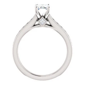 Cubic Zirconia Engagement Ring- The Rhea (Customizable Cathedral-raised Emerald Cut Design with Princess Channel Band and Kite-set Princess Peekaboo Accents) - Image 3