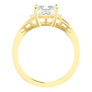 Cubic Zirconia Engagement Ring- The Willie Jo (Customizable 3-stone Princess Cut Design with Small Round Cut Accents and Decorative Cathedral Trellis) - Image 3